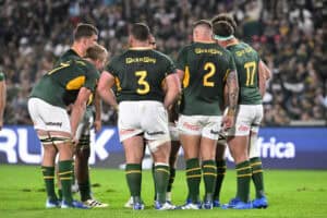 Springboks in the spotlight