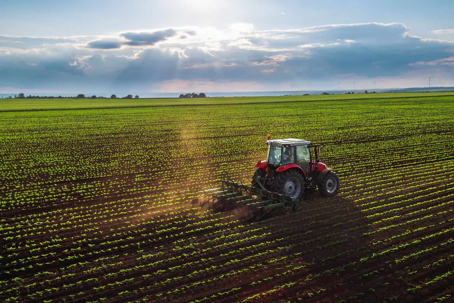 Farm rescues on the rise