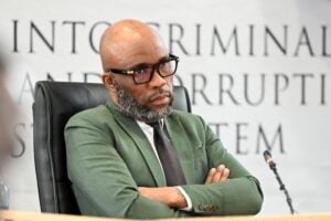 Cat matlala Madlanga commission Brown Mogotsi