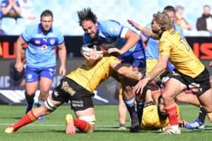 Bulls Cheetahs Currie Cup