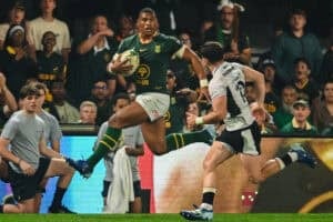 Damian Willemse