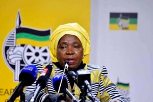Dlamini‑Zuma apologises to Lamola in ANC vote‑buying storm