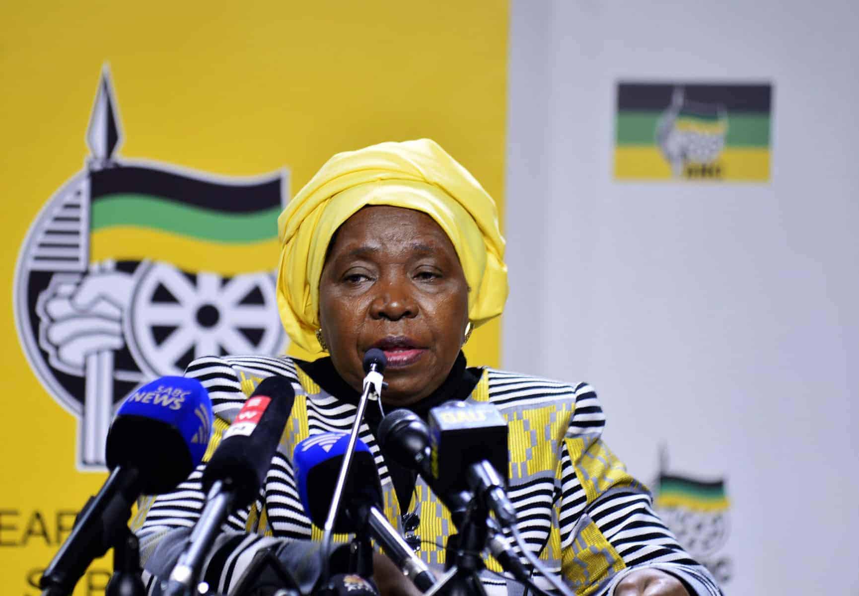 Dlamini‑Zuma apologises to Lamola in ANC vote‑buying allegations storm