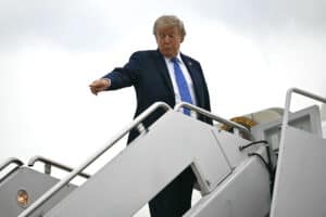 Big Ol' Alligator Donald Trump bites his allies