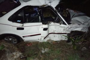 Two dead, 12 injured in Eastern Cape head-on crash