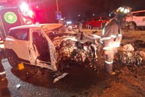 Driver killed in Alberton tree Crash — Firefighters use jaws‑of‑life in late‑night rescue