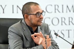 'He must explain': Adams turns allegations on Mkhwanazi at Madlanga Commission