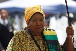 Dlamini-Zuma Mbalula ANC money