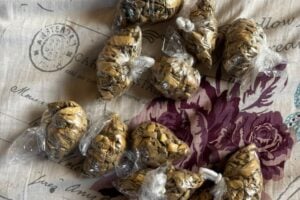 A 29-year-old female suspect arrested for possession of heroin drugs worth R12 000 in Motetema precinct