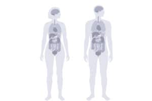 Human body is a prototype that was rushed in production