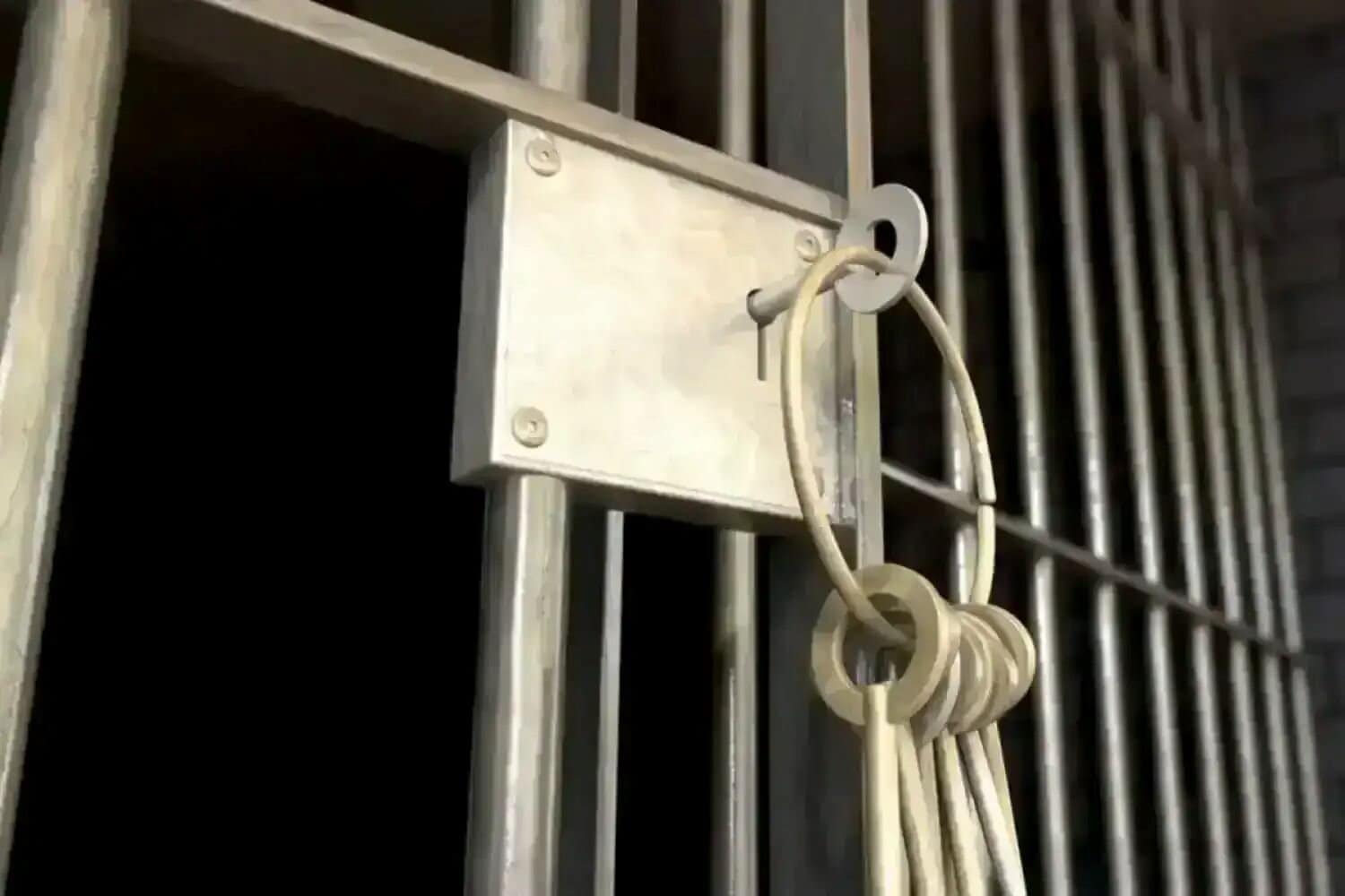 Hawks nail Limpopo businessman with four‑year sentence for R1.3m precious stones theft