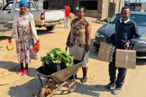 Local businesswomen- Mmago Mahlatse Pilusa, Masewapa Marium Pilusa and Prince Matlala deliver vegetables to their stalls at Relela Bustop in Bolobedu outside Tzaneen.