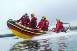Whales breach as NSRI rescues surf‑skier off Simon's Town