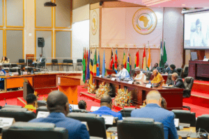 Pan-African Parliament has no meat on its bones