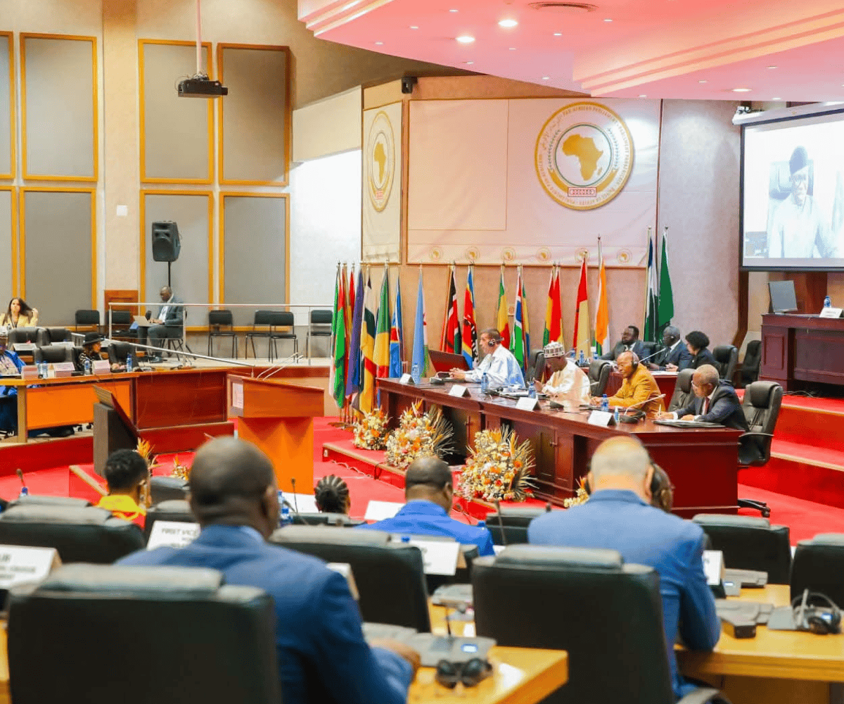 Pan-African Parliament has no meat on its bones