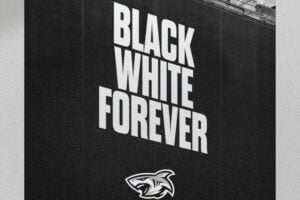 The new Sharks logo