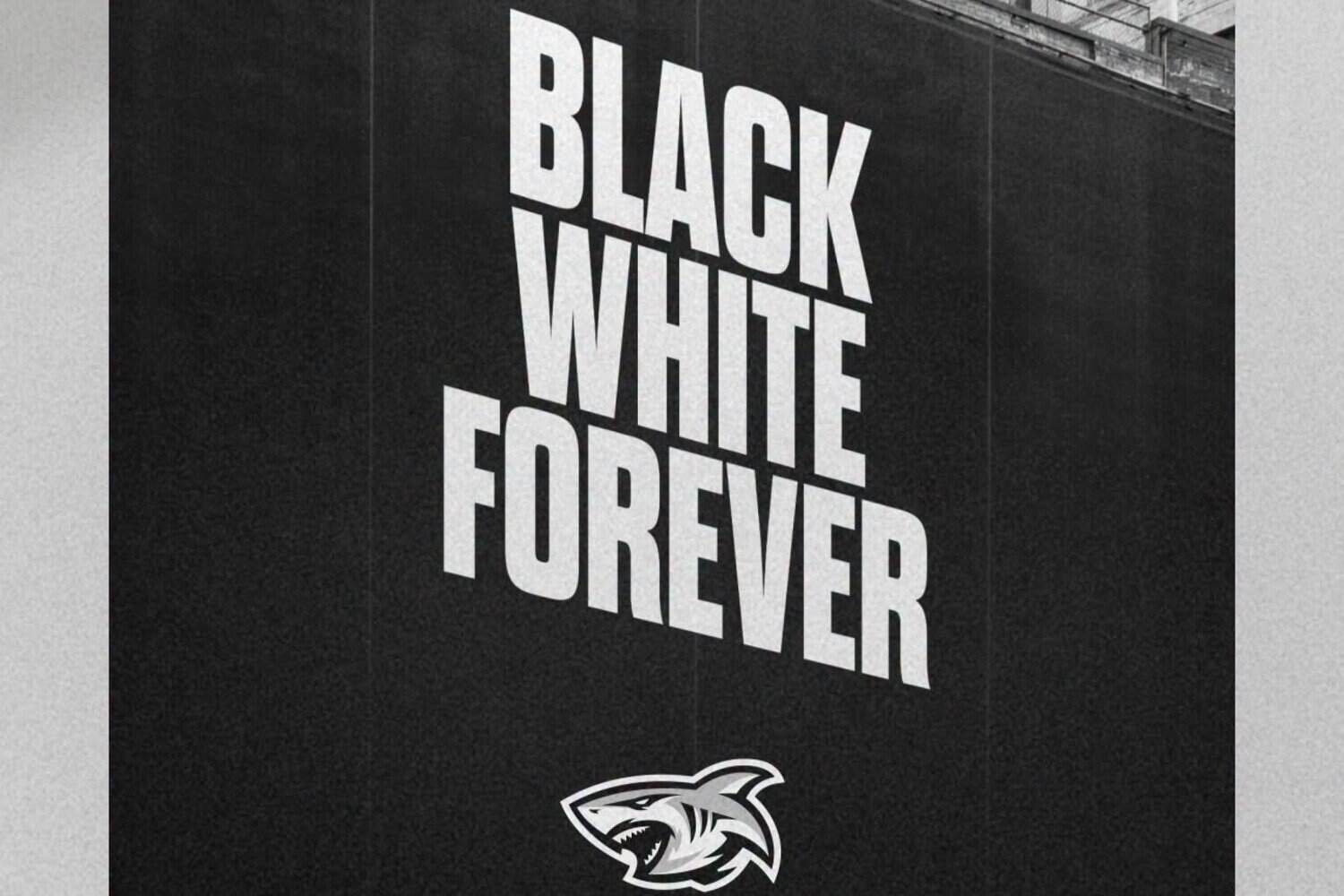 Sharks launch large-scale rebrand with new logo, and kits on the way