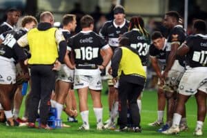 Sharks rugby players