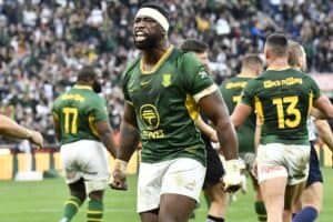 Springboks