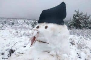 WATCH: Snow falls in Johannesburg as Gauteng freezes