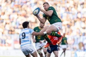 Springboks Argentina