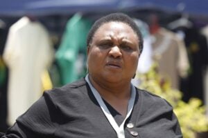 Thoko Didiza ANC Section 89 impeachment committee Ramaphosa Phala Phala