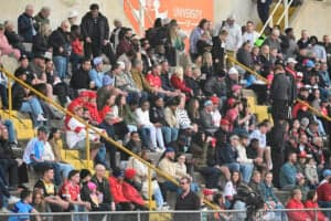 Lions Ellis Park UJ Stadium issue