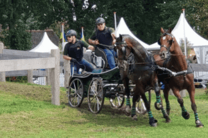 SA carriage driver Wayne van Niekerk set for historic Aachen debut