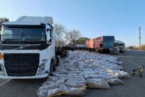 Zimbabwean national remanded after R3.8m tobacco smuggling bust