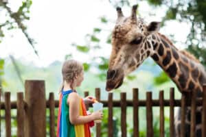What SANParks' 2025/26 fees really cost a family of four