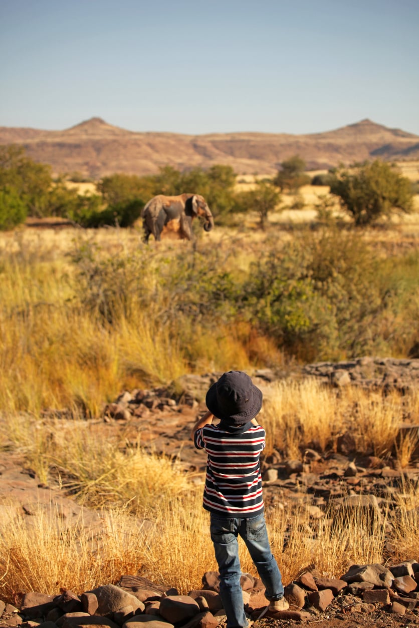 Safari kings: South Africa leads 2026 bookings while new routes from Brazil and the Gulf power a record year