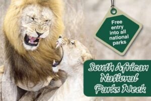 Lions sanpark free pass.