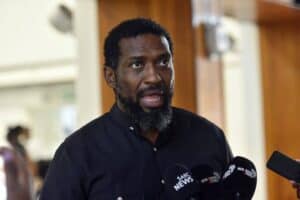 Manamela reveals Nsfas accommodation control failures