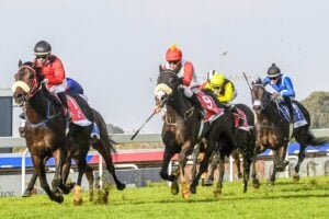 Horses racing
