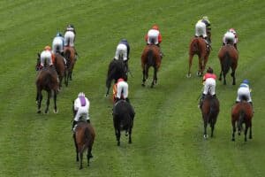Horses racing