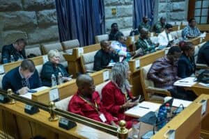 Ad hoc committee Parliament Vavi Khusela Diko