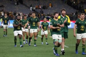 Springbok players
