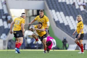 Cheetahs v Pumas