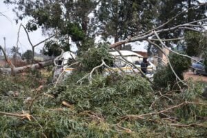 WATCH: Taxi Crushed by fallen tree as severe storms put SA on high alert