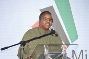 Deputy Minister Mmapaseka Steve Letsike Lawrence Chamurwa Mudzinganyama home affairs