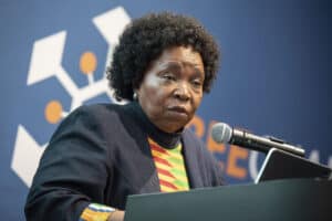 Dlamini-Zuma urges women to prioritise survival over societal expectations