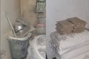 WATCH: Two foreign nationals arrested in multimillion-rand mandrax lab bust in Erasmia