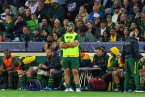 Duane Vermeulen