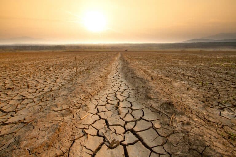 El Niño 2026-27: How agriculture department plans to protect small ...