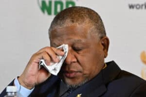 'Absolutely wonderful': AfriForum wins bid to have Mbalula charged with crimen injuria