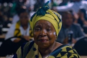 Mbalula ANC bribery Dlamini-Zuma