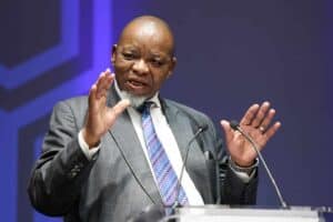 Mantashe slams mine owners as fatalities surge in 2026
