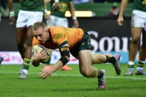 Wallabies