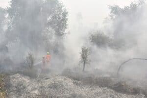 Indonesia doing 'everything' but struggling to curb fires