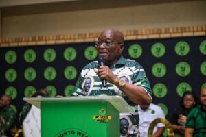 MK Party accuses Section 89 impeachment committee of 'majoritarian abuse' after Madonsela reversal